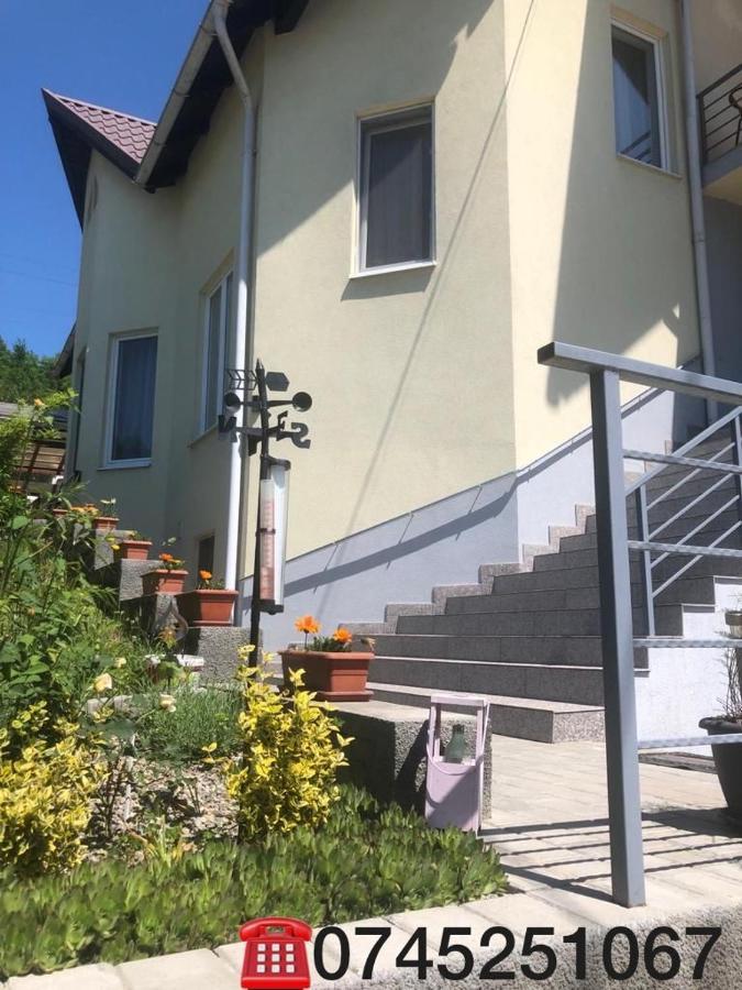 Casa Alessias Hotel Vişeu de Sus Buitenkant foto