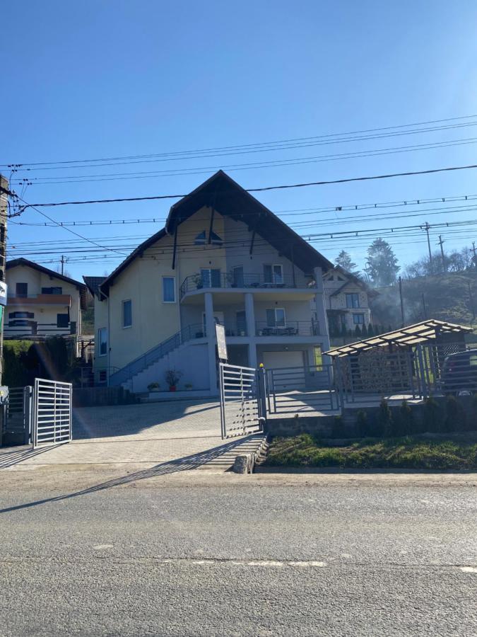 Casa Alessias Hotel Vişeu de Sus Buitenkant foto